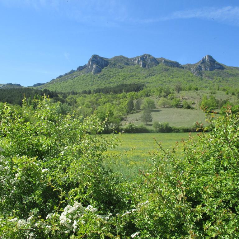 Ribiers Appartement Entre Sisteron Et Gorges De La Meouge " Les Hauts De Toscane " מראה חיצוני תמונה